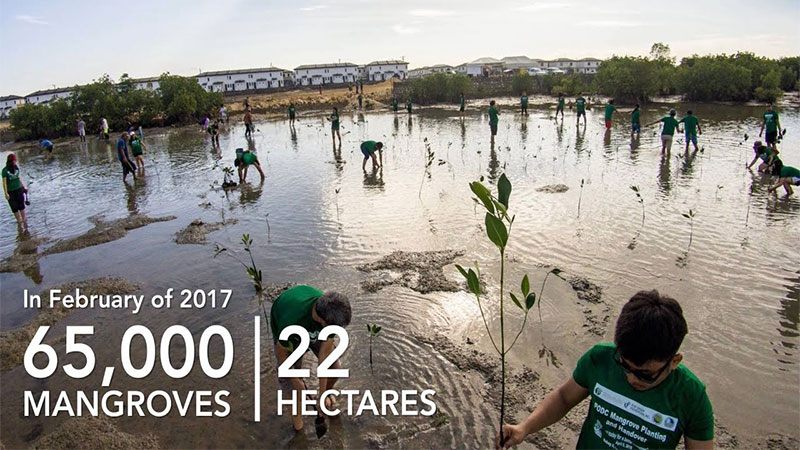 Pueblo De Oro Green Efforts