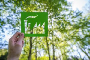 How Do You Promote Green Living?