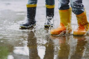 What are PDO’s Flood Control Measures?