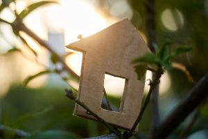 Why an EDGE Certification Matters