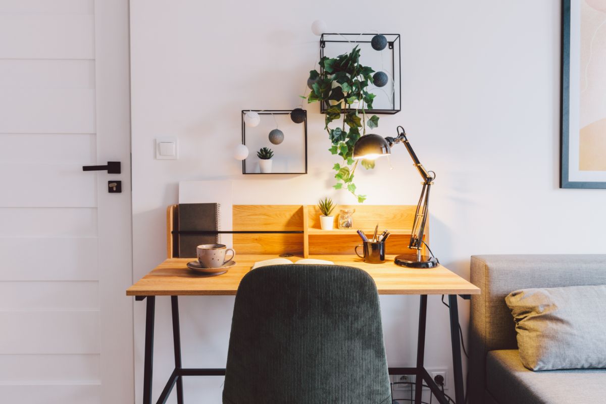 Multifunctional Spaces