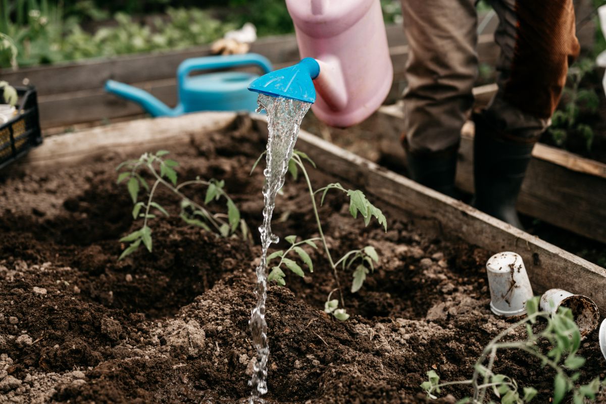 Arrange Drainage Systems