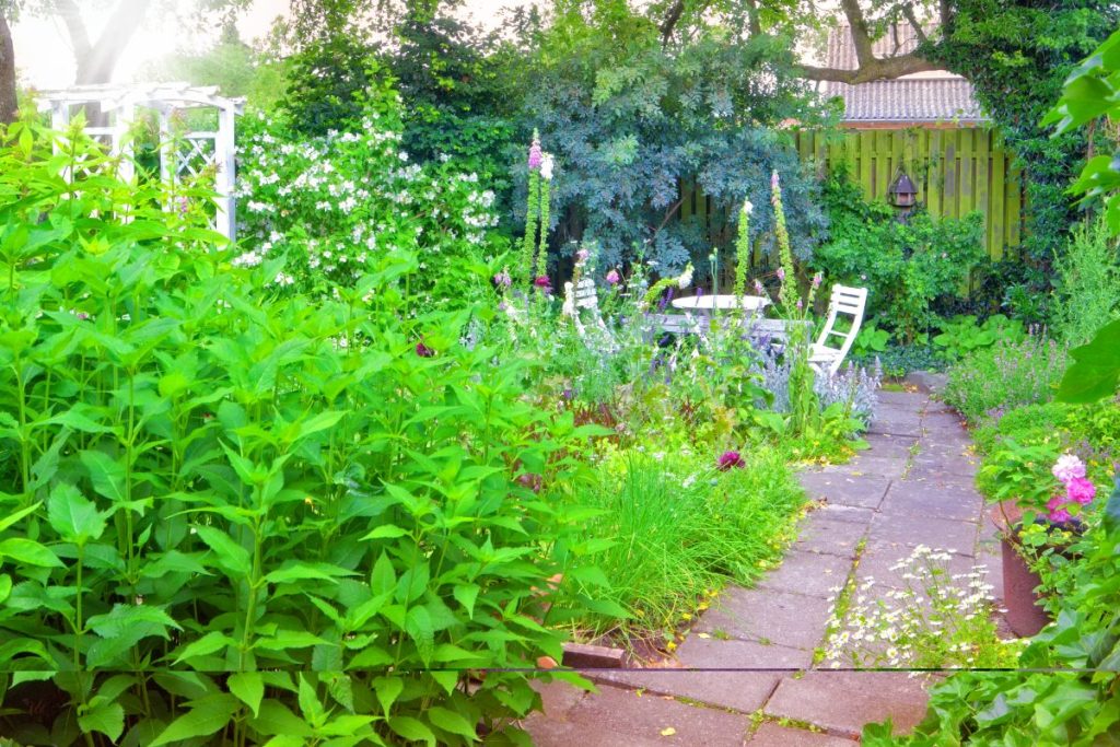 5 Tips for Growing Your Own Food in Urban Spaces