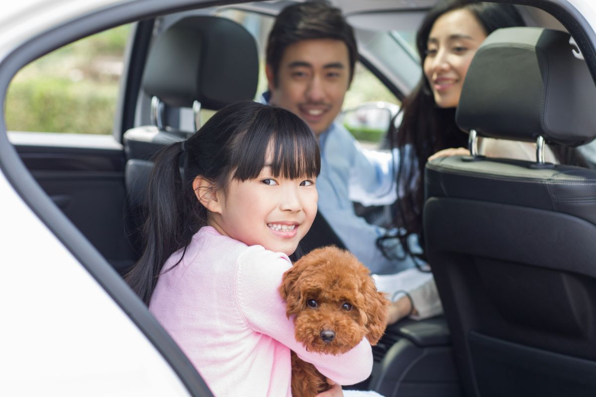 Provides an Enhanced Livability