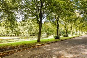 What is an Eco Park?