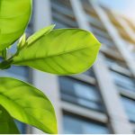 Decoding Green Certifications in Philippine Real Estate