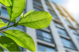 Decoding Green Certifications in Philippine Real Estate